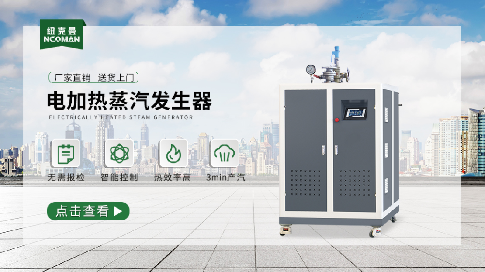 對電加熱蒸汽發(fā)生器的結構進行分析